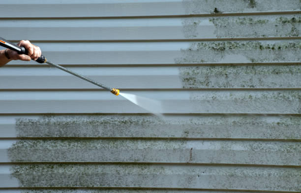 Best Fence Pressure Washing  in Forest View, IL
