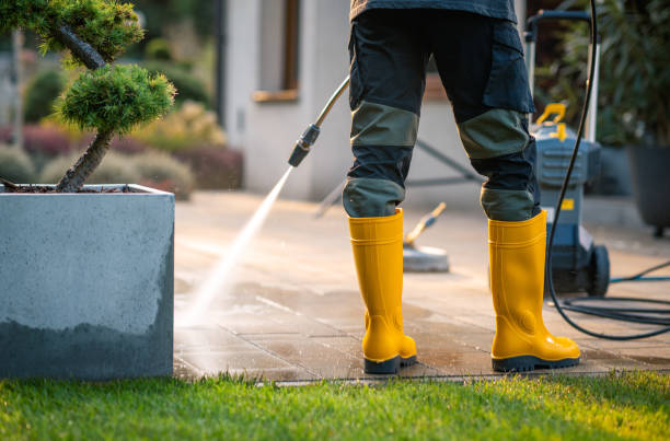 Deck Cleaning Services in Forest View, IL